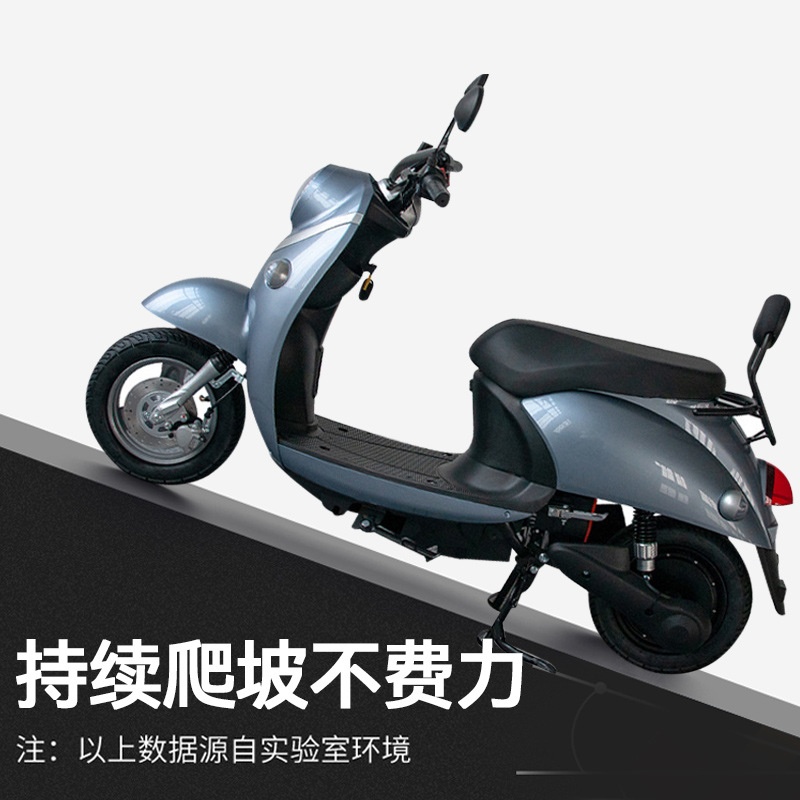 HRRX-2B-013：Eyelash Turtle