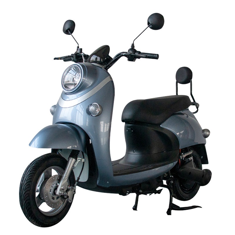 HRRX-2B-013：Eyelash Turtle