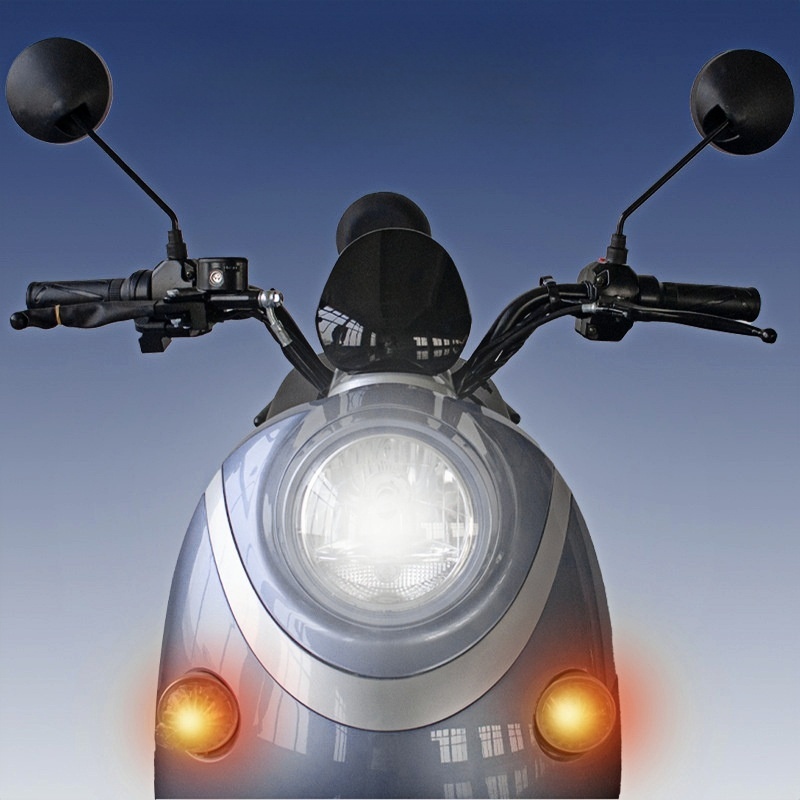 HRRX-2B-013：Eyelash Turtle