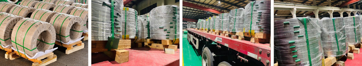 不锈钢带打包_画板 1.jpg