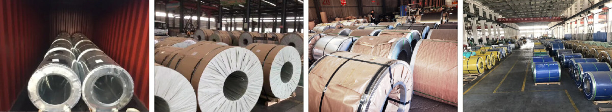 卷打包_画板 1.jpg