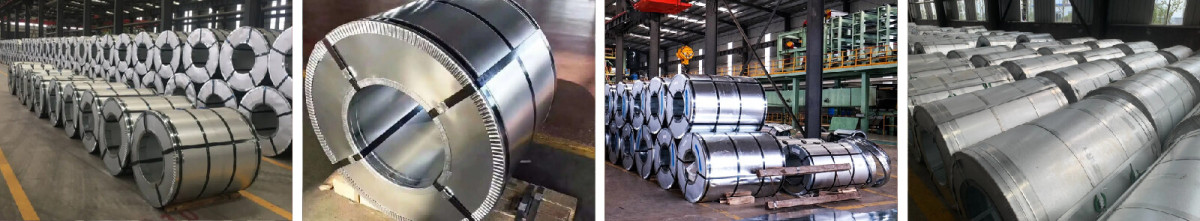 卷打包_画板 1.jpg