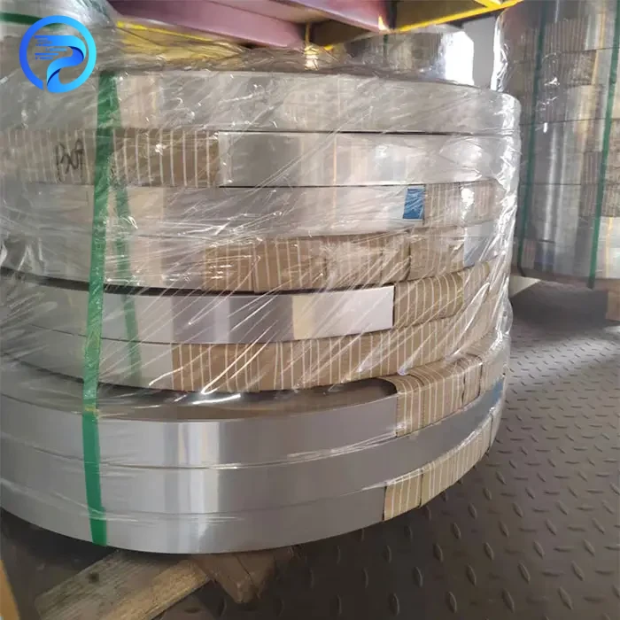 201 Stainless Strip