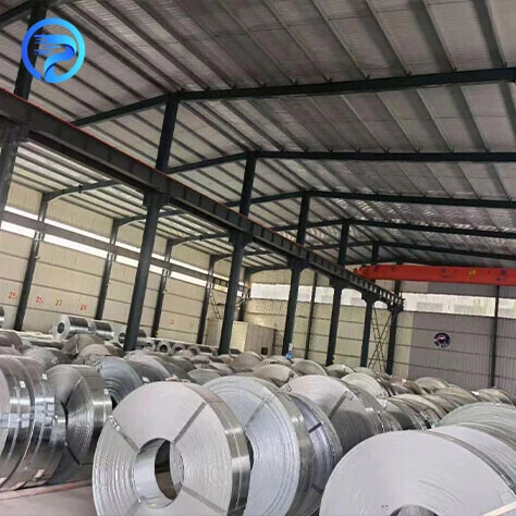 Stainless Strip