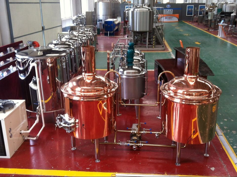 100L Red copper brew house