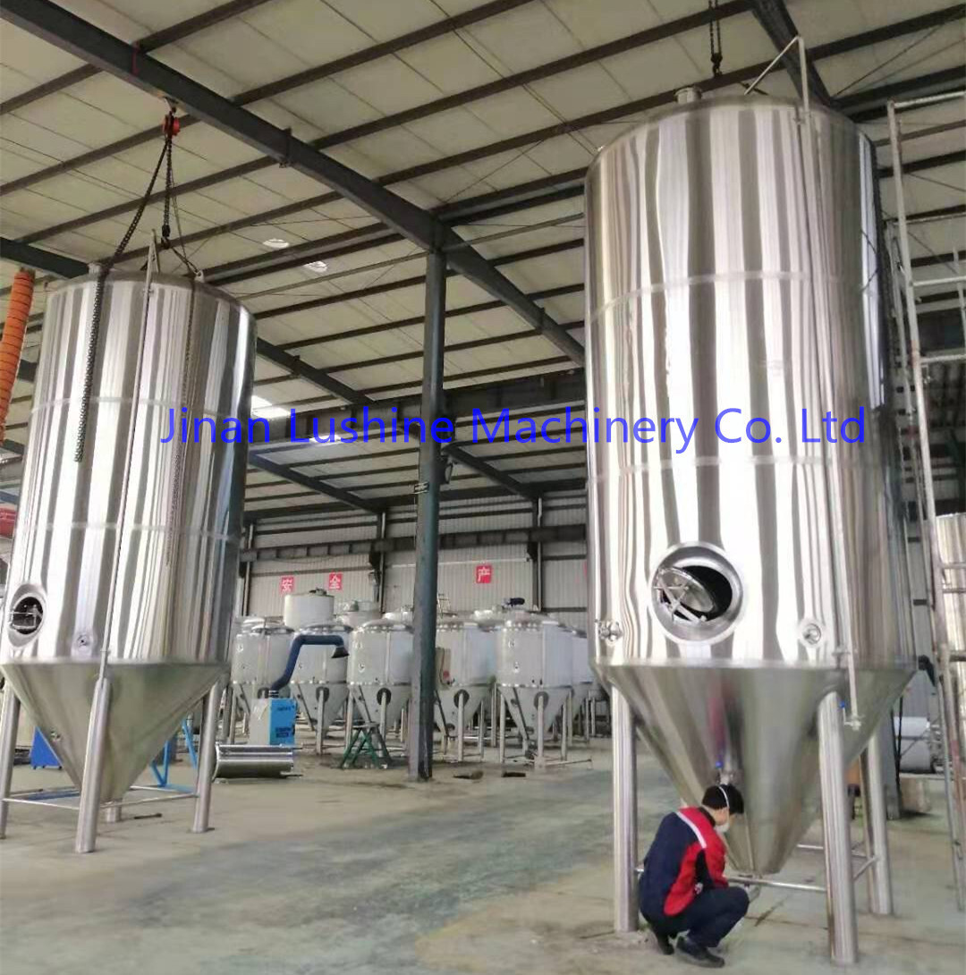 50HL Fermenter_副本.jpg 50HL Fermenter_副本.jpg