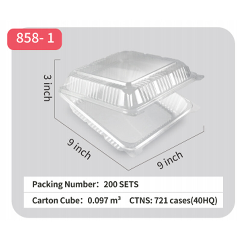  PET Takeout Container Plastic Hinged