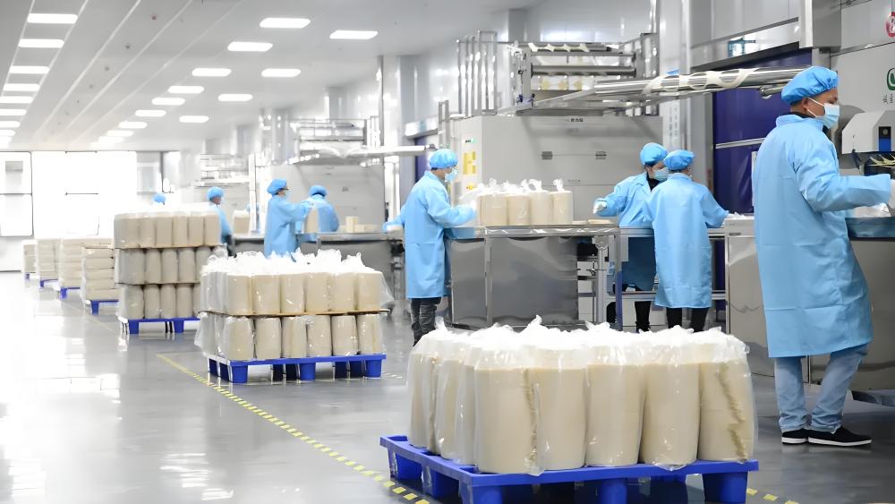 Shantou Leyi Bei Plastic Products Co., Ltd.: The Disposable Lunch Box Business Achieves Rapid and Spectacular Growth