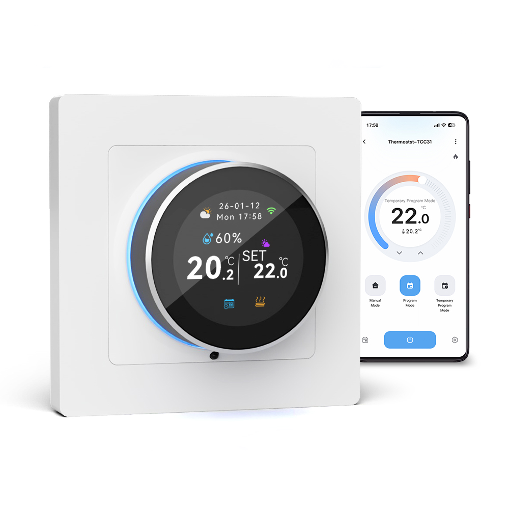 Gas Boiler Thermostat