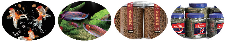 Large aquatic fish feed production line 1