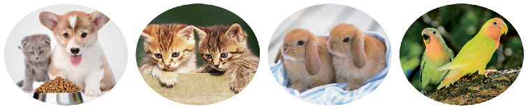 Pet food production line