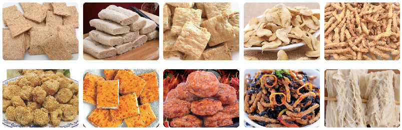 Tissue protein and fibrous protein production line 2