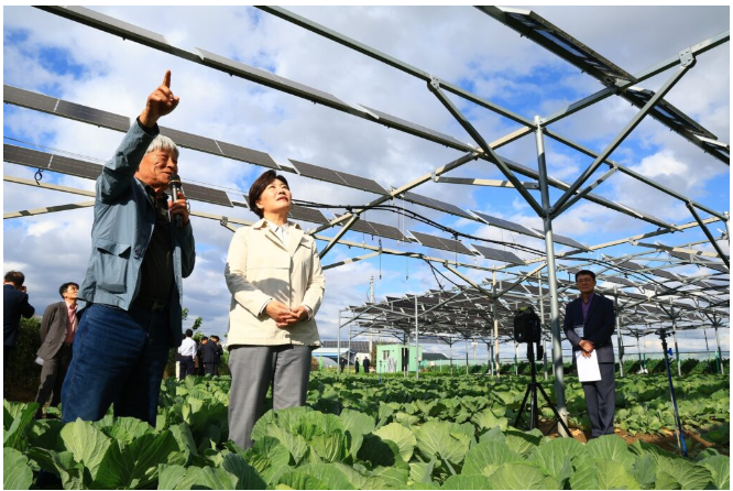 Bernout Research: China will account for 93.5% of global polysilicon production capacity in 2024.