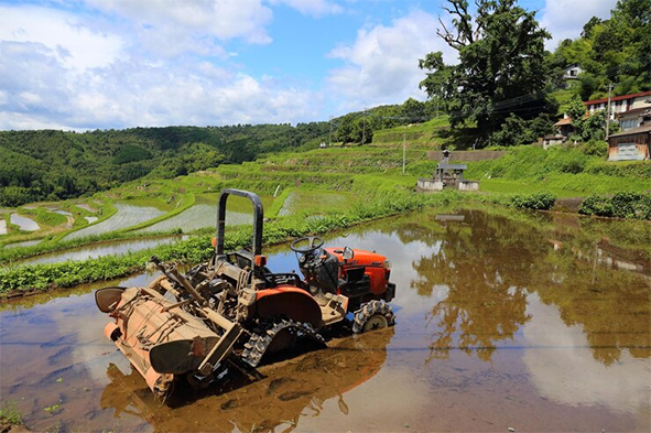 The Water and Dry Dual-purpose Tractor Becomes a New Favorite in Spring Plowing