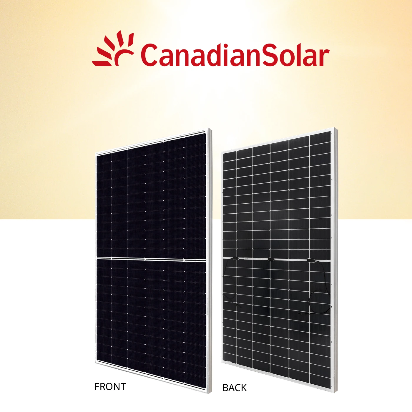 TOPBiHiKu6 N-type Bifacial TOPcon Technology 565 W~595 W