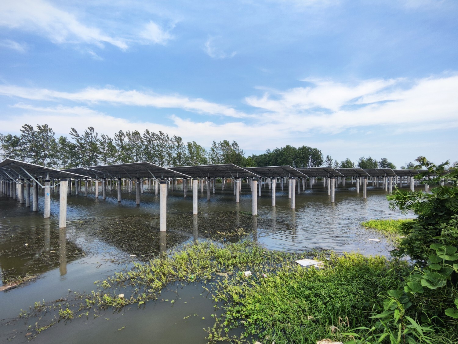 80MW fishery-photovoltaic project in Rayong Province, Thailand