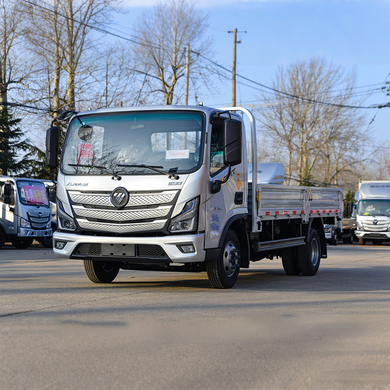 Foton Aumark S1 Light Truck