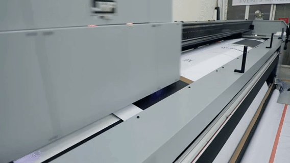 1764567300853990913823752192