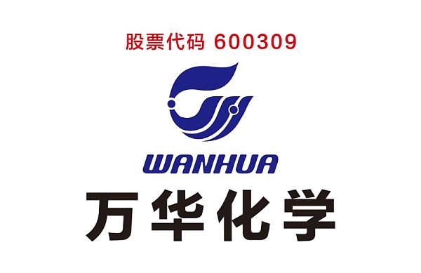2-2上市化工-万华化学.jpg
