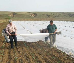 Agricoltura non tessuti