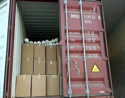 PP Bianco Anti UV Inverno Felpa, Protezione dal Gelo per Piante