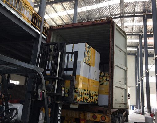 PP Tappeto Nero per Erbacce, Tessuto Anti-Espansione per Giardino