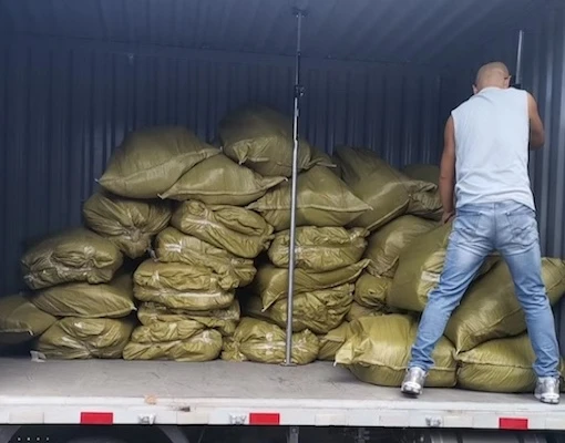 Tessuto per il controllo delle erbacce per grandi piante, mercato dell'America Latina
