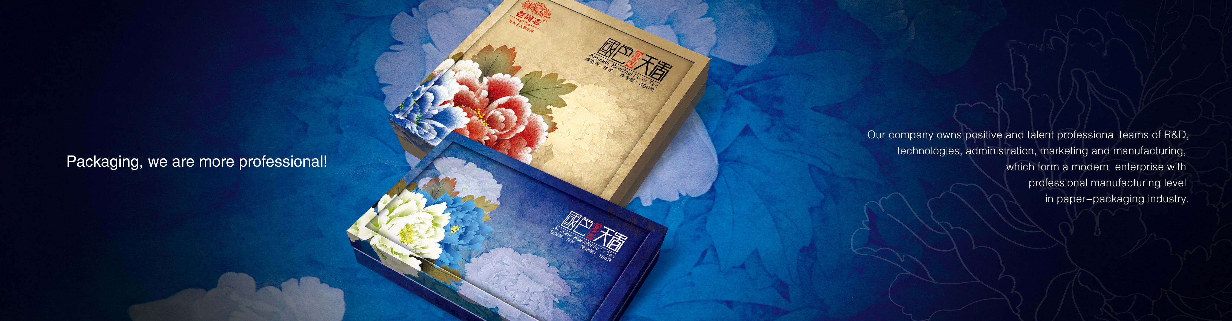 产品形象.jpg