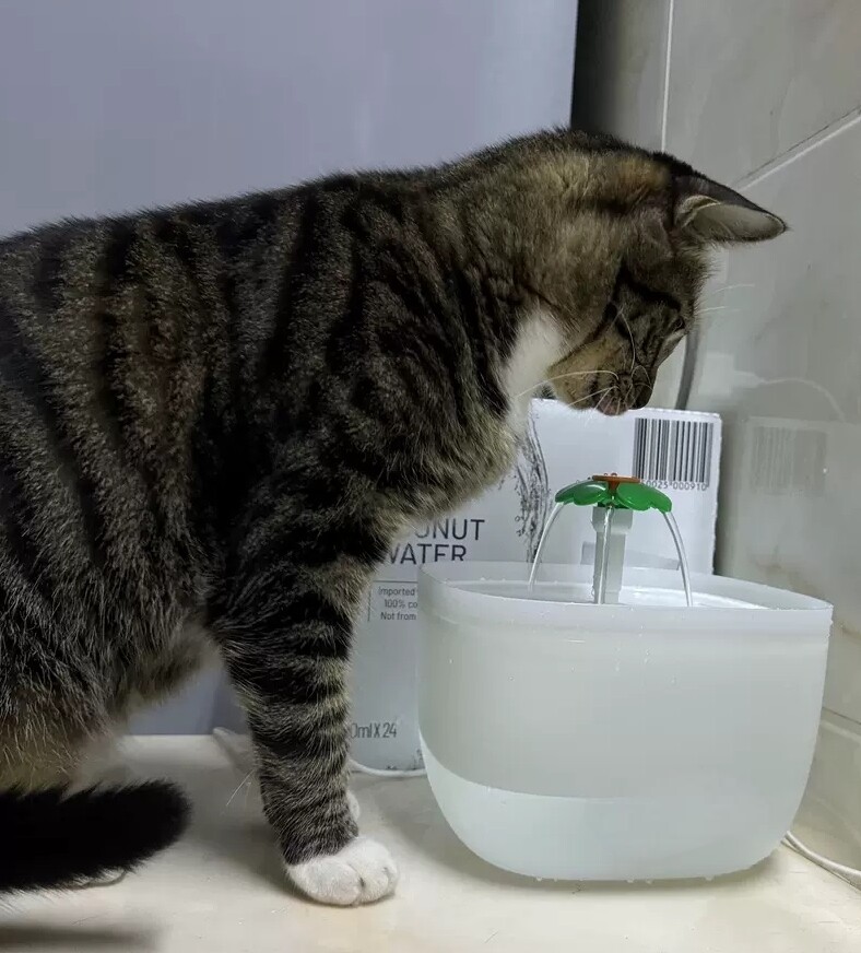 2L Pet Smart Fountain OEM 35dB Silent Hydration Solution for Pet Retailers & Wholesalers GWQ30