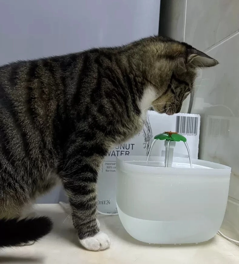 OEM 35dB Pet Water Fountain GWQ30