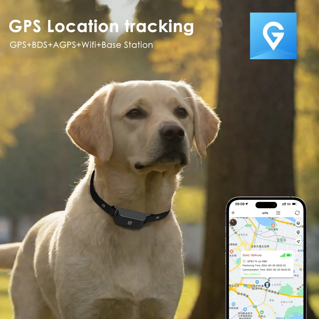 Affordable 4G GPS Pet Tracker with Real-Time Monitoring GTB51