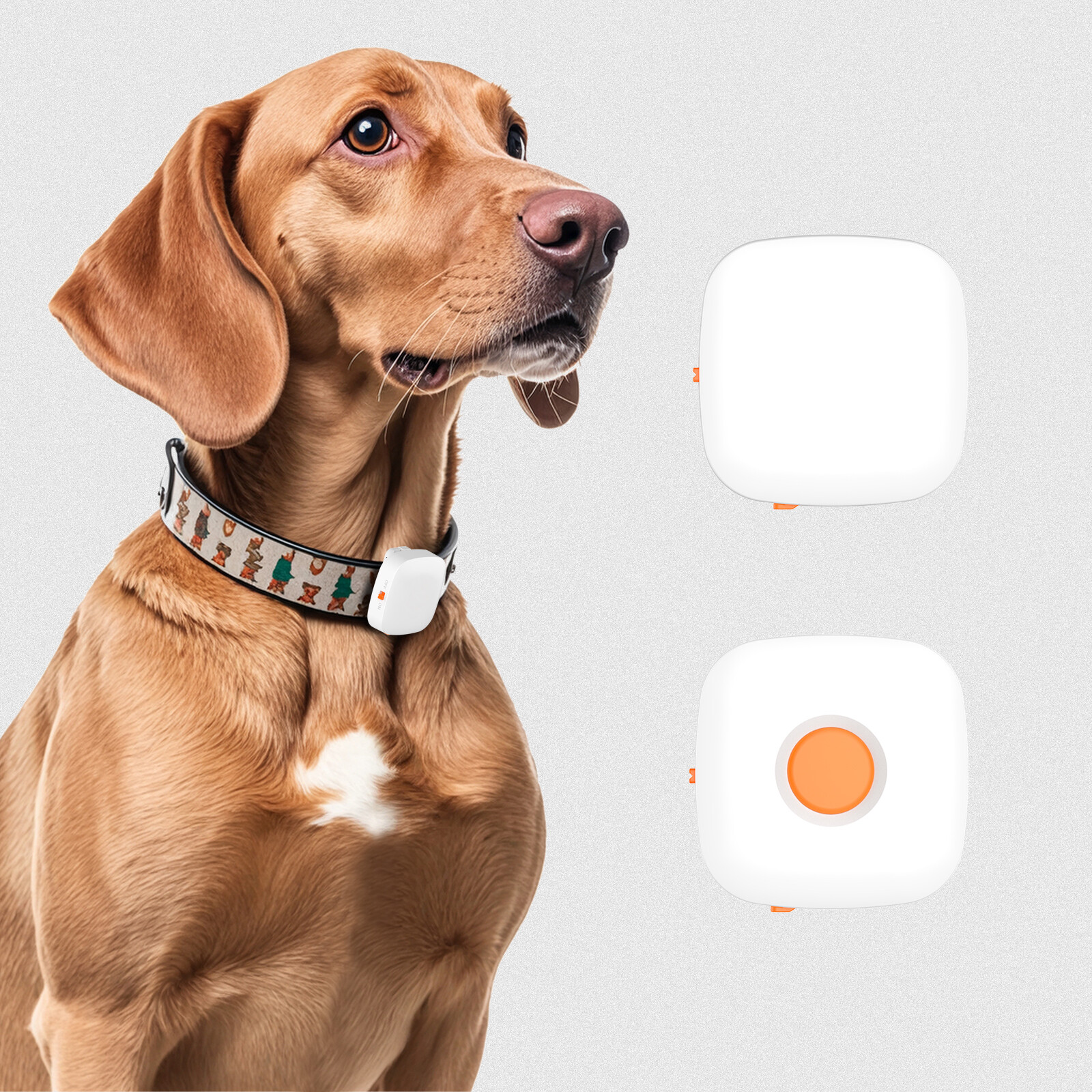 Compact Vibration Dog Training Assistive Device GTB10