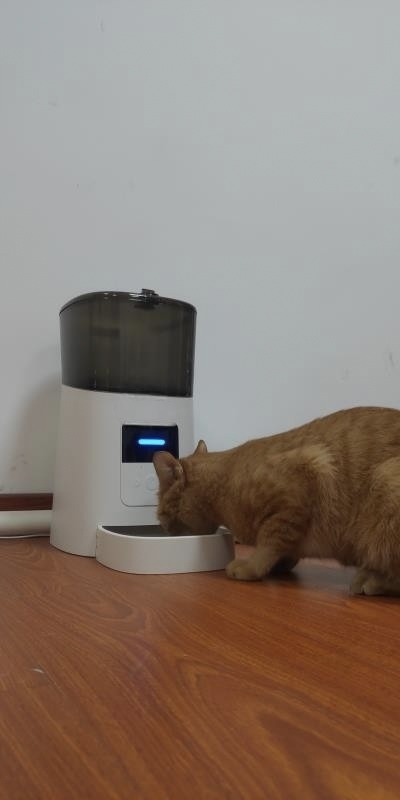 6L SUS304 bowl Commercial Pet Smart Feeder With 2MP 1080P Camera WiFi Tuya APP Remote Control GFC12 Series