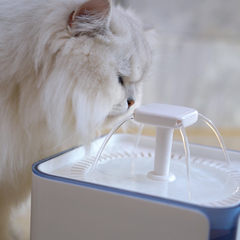 3L Smart Dual-Flow Pet Water Dispenser GWD37 B2B Solutions for Wholesale, Distribution & Retail