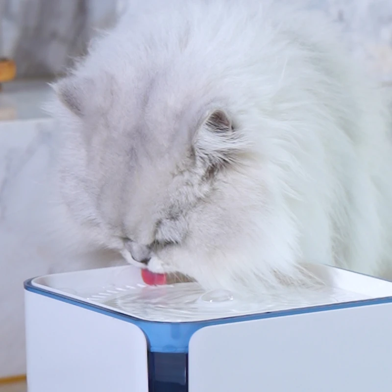3L Smart Dual-Flow Pet Water Dispenser GWD37 B2B Solutions for Wholesale, Distribution & Retail