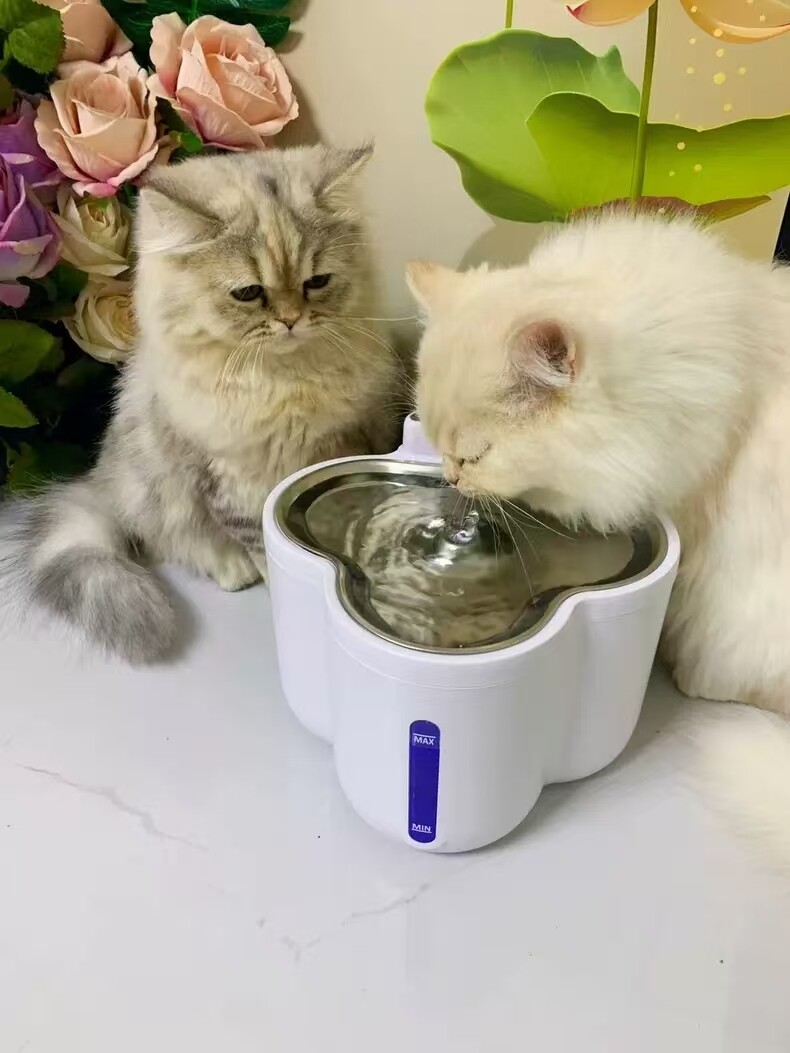 2.5L Cloud-Shaped Smart Heated Pet Water Dispenser with UV Sterilization& 60-Day Battery OEM/ODM for Pet Retailers & Veterinary Clinics GWX40