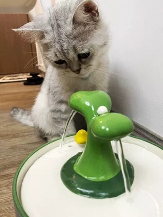 1.5L Ultra-Quiet Ceramic Pet Water Dispenser with 5-Stage Filtration & Heating | BPA-Free OEM/ODM for Veterinary Clinics GWX41