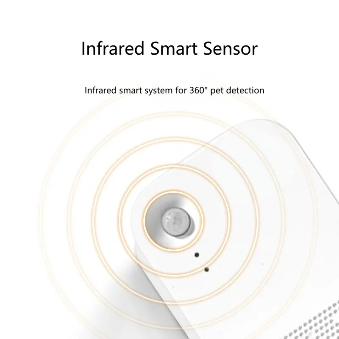 IMG_20250220_180506 IMG_20250220_180506