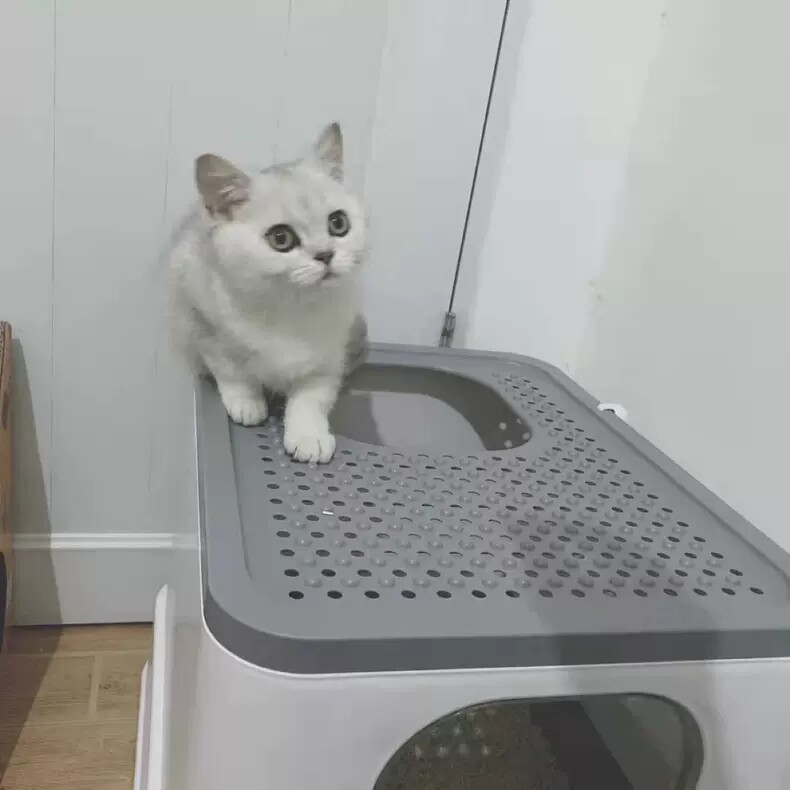 Dual-Battery Smart Pet Odor Eliminator (2600mAh & 5200mAh Models) Air Purifier for Pet Toilet GPC61/ 61P