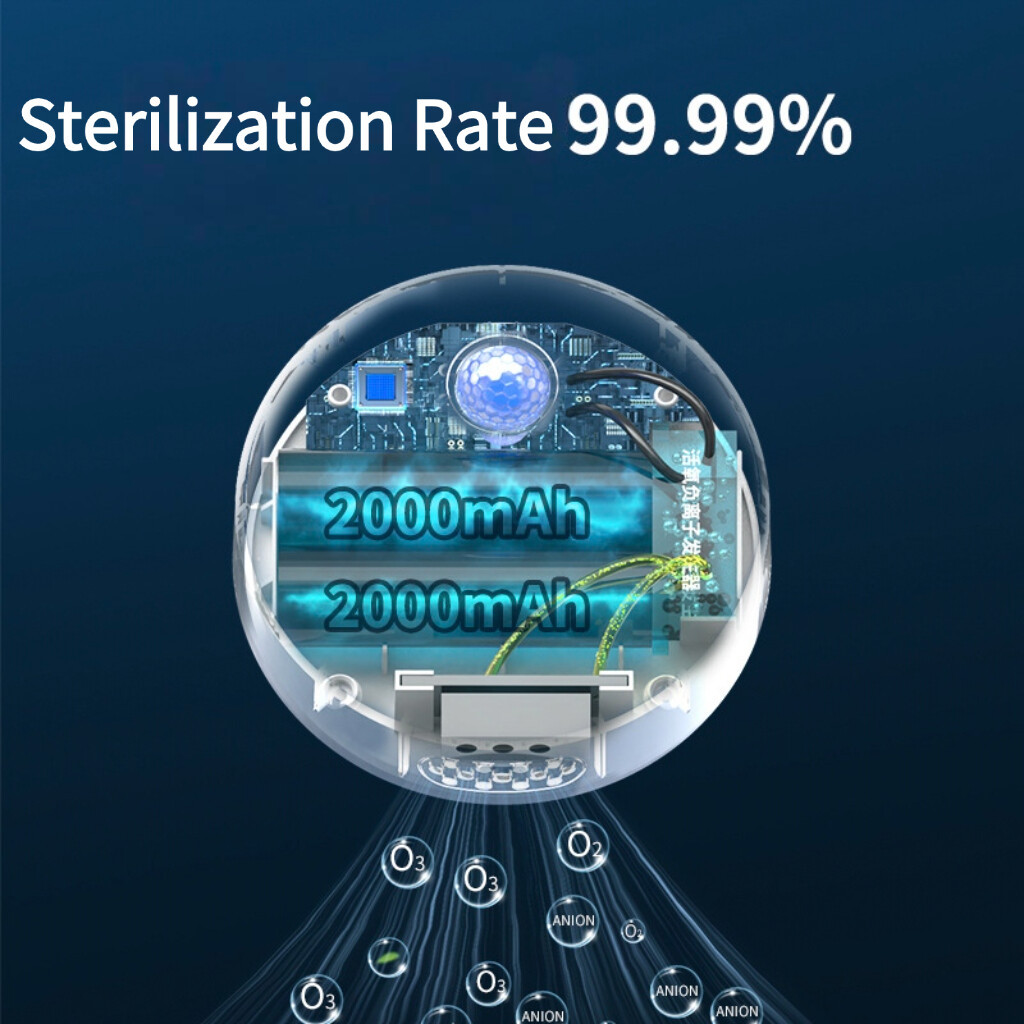 1740045682241 1740045682241