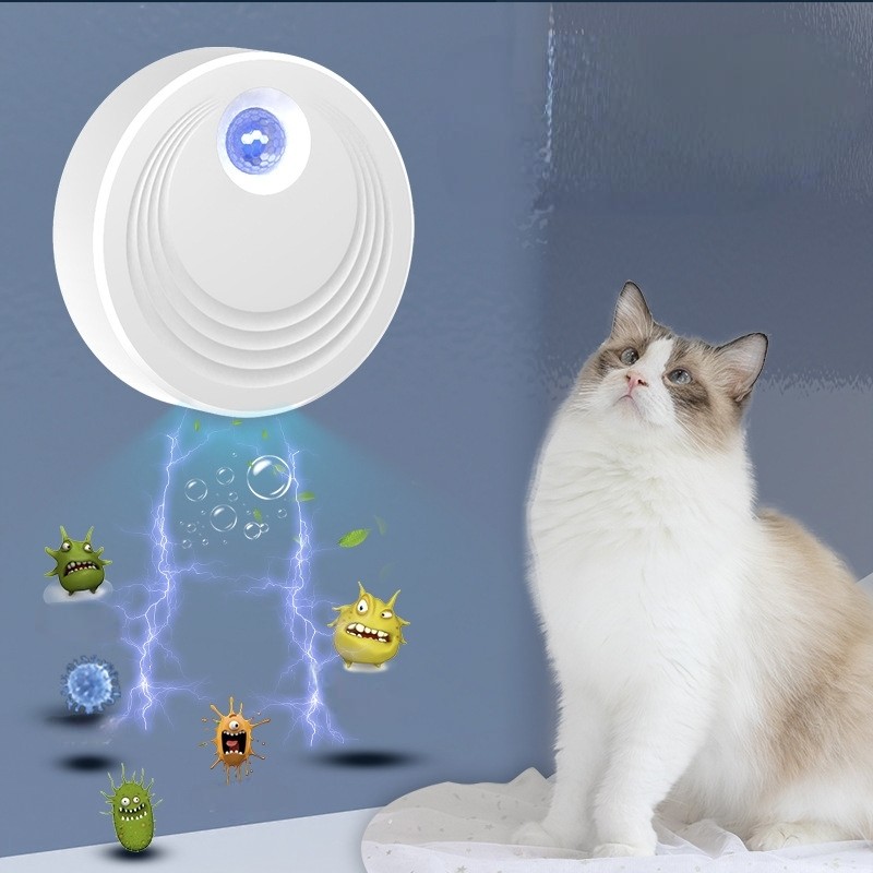 IMG_20250220_180323 IMG_20250220_180323