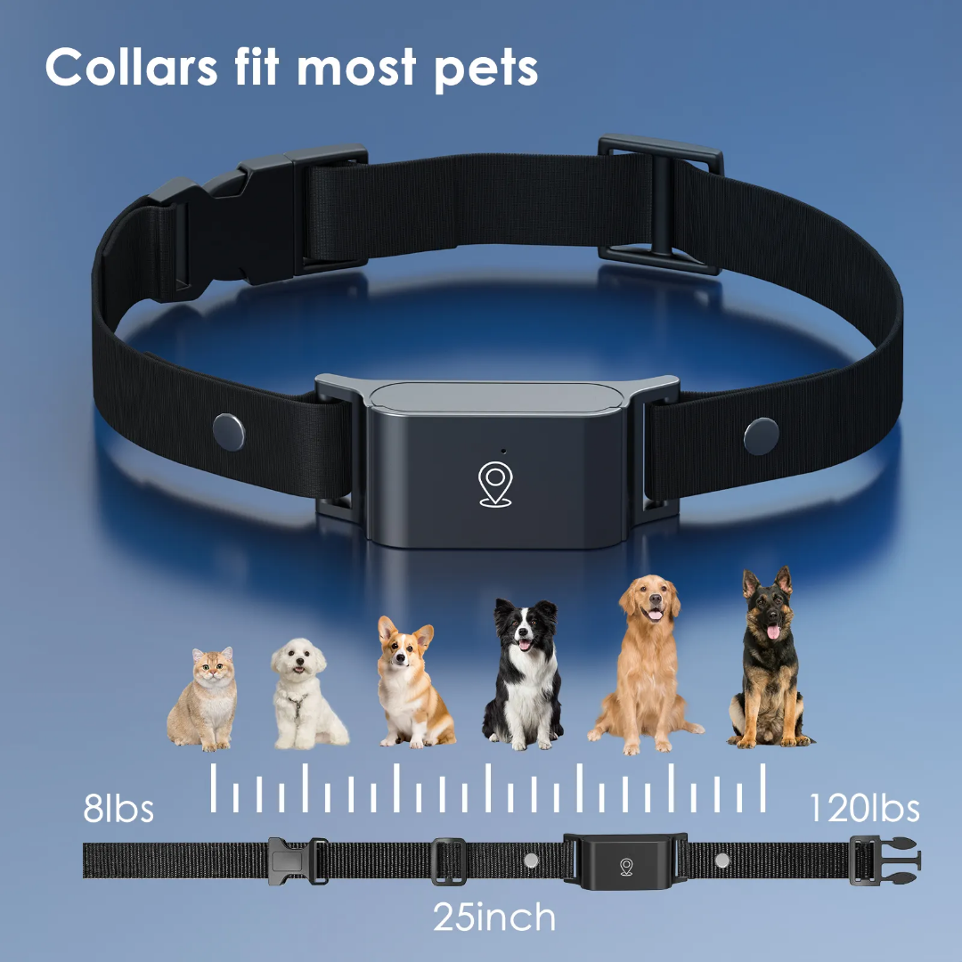 4G Pet GPS Collar with Health Monitoring | IP66 Waterproof & 7-Day Battery | OEM/ODM for Veterinary Clinics & Retailers GTB51