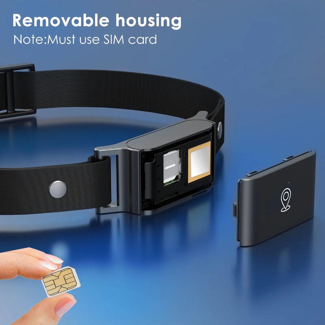 4G Pet GPS Collar with Health Monitoring | IP66 Waterproof & 7-Day Battery | OEM/ODM for Veterinary Clinics & Retailers GTB51