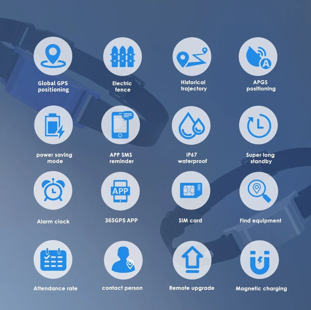 4G Pet GPS Collar with Health Monitoring | IP66 Waterproof & 7-Day Battery | OEM/ODM for Veterinary Clinics & Retailers GTB51