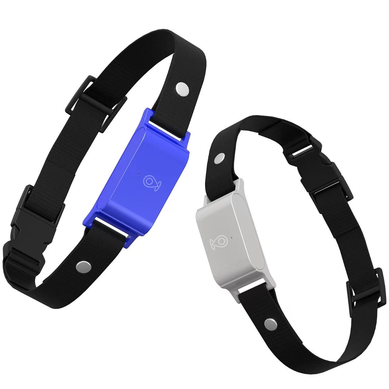 4G Pet GPS Collar with Health Monitoring | IP66 Waterproof & 7-Day Battery | OEM/ODM for Veterinary Clinics & Retailers GTB51
