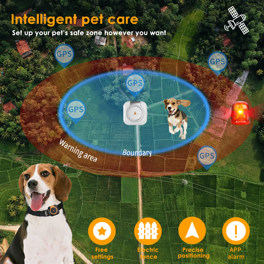 4G Smart Pet GPS Tracker with Health Monitoring GTB50 | IP66 Waterproof & 7-Day Battery | OEM/ODM for Veterinary Clinics & Retailers