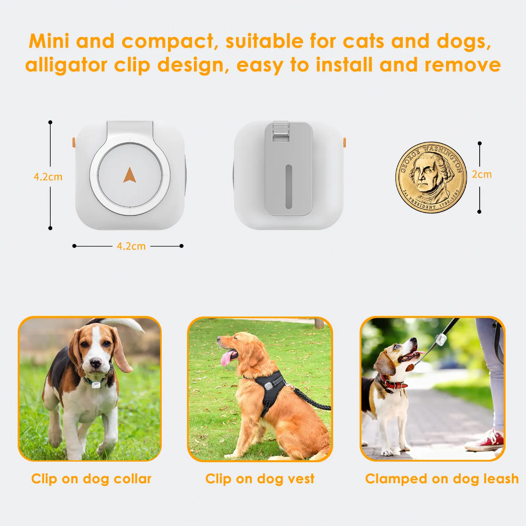 4G Smart Pet GPS Tracker with Health Monitoring GTB50 | IP66 Waterproof & 7-Day Battery | OEM/ODM for Veterinary Clinics & Retailers
