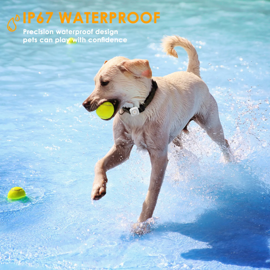 4G Smart Pet GPS Tracker with Health Monitoring GTB50 | IP66 Waterproof & 7-Day Battery | OEM/ODM for Veterinary Clinics & Retailers