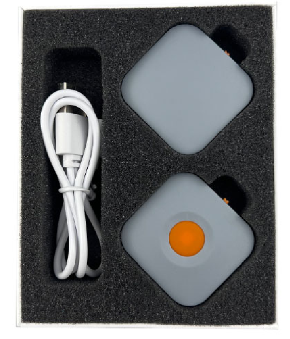 Compact Vibration Dog Training Assistive Device GTB10