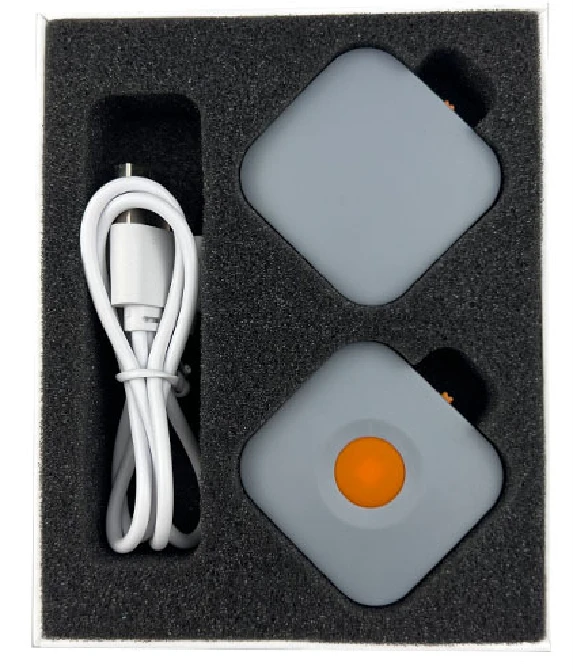 Compact Vibration Dog Training Assistive Device GTB10